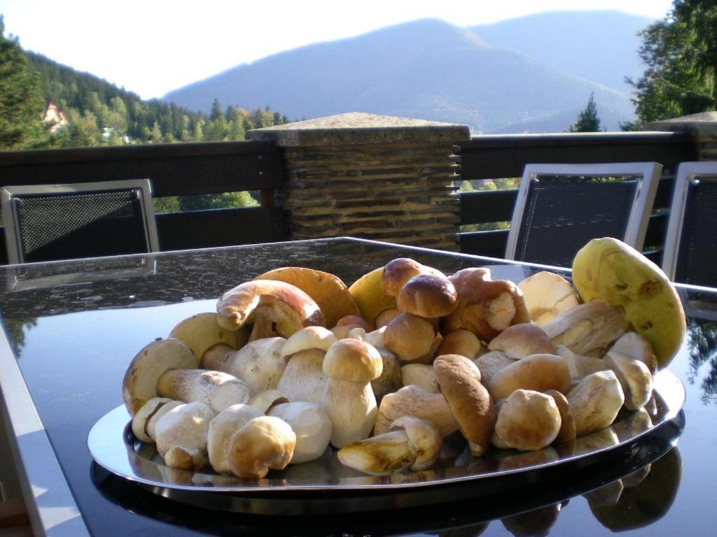 Hotel Ondras Z Beskyd Ostrawica